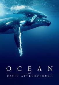 I Segreti Dell’oceano con David Attenborough