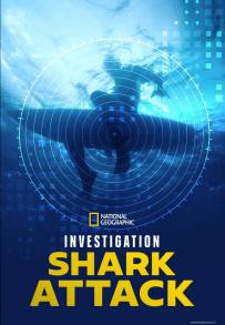 Investigation Shark Attack