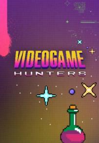 Videogame Hunters