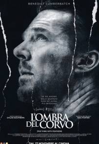 L'ombra del corvo
