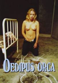 Oedipus orca