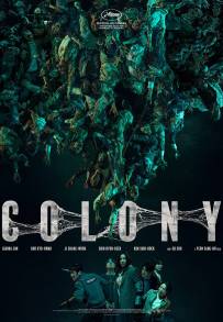 Colony
